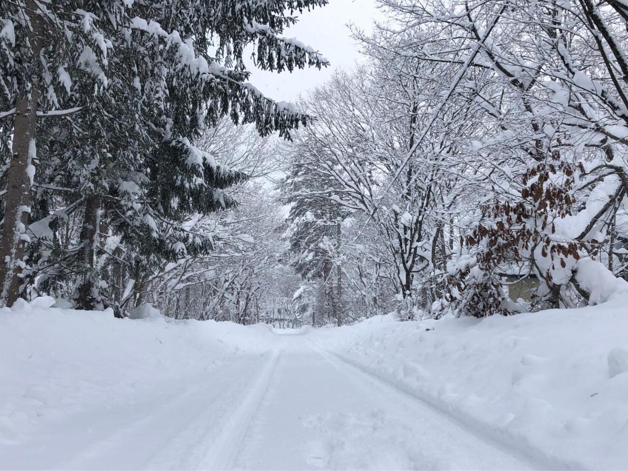 Ryder'S House With Free Use Of 4W Car Villa Hakuba Bagian luar foto